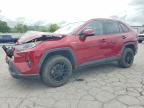 2019 TOYOTA RAV4 HYBRID