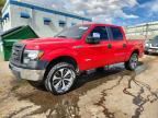 2013 FORD F150