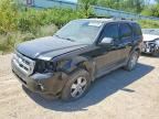 2009 FORD ESCAPE
