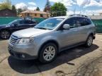 2010 SUBARU TRIBECA