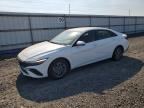2026 HYUNDAI ELANTRA HYBRID
