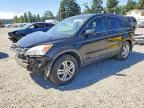 2010 HONDA CR-V