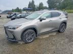 2024 LEXUS NX 350H