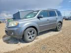 2010 HONDA PILOT