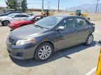 2010 TOYOTA COROLLA