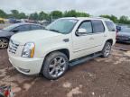 2014 CADILLAC ESCALADE