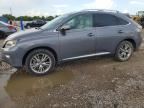 2013 LEXUS RX