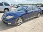 2011 LEXUS ES