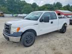 2014 FORD F150