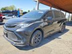 2025 TOYOTA SIENNA