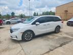 2024 HONDA ODYSSEY