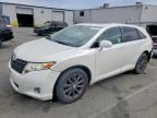 2009 TOYOTA VENZA