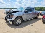 2025 FORD F150