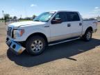 2010 FORD F150