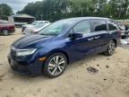 2023 HONDA ODYSSEY