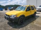 2001 FORD ESCAPE