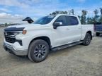 2025 CHEVROLET SILVERADO