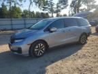 2025 HONDA ODYSSEY