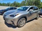 2019 LEXUS NX 300