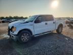 2010 FORD F150