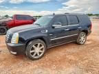 2010 CADILLAC ESCALADE