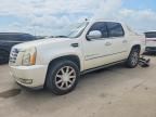 2008 CADILLAC ESCALADE