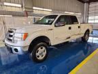 2013 FORD F150