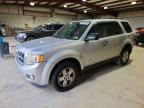 2011 FORD ESCAPE