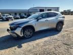 2025 LEXUS NX 350