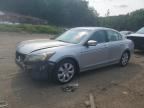 2010 HONDA ACCORD