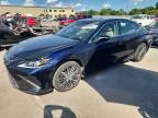2025 LEXUS ES 350