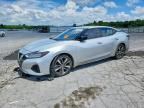 2019 NISSAN MAXIMA