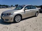 2013 HONDA ACCORD