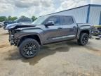 2024 TOYOTA TUNDRA
