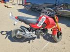 2026 HONDA GROM