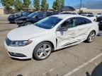 2013 VOLKSWAGEN CC