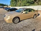 2009 LEXUS ES