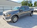 2023 FORD F150