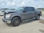 2013 FORD F150