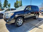 2013 LEXUS GX