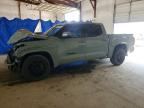 2023 TOYOTA TUNDRA