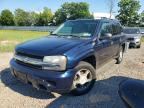 2007 CHEVROLET TRAILBLAZER