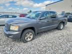 2011 DODGE DAKOTA