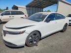 2025 HONDA ACCORD