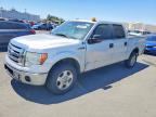 2012 FORD F150