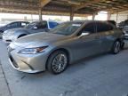 2020 LEXUS ES