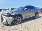 2025 LEXUS NX