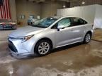 2025 TOYOTA COROLLA HYBRID