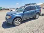 2011 FORD ESCAPE