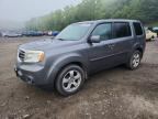 2013 HONDA PILOT